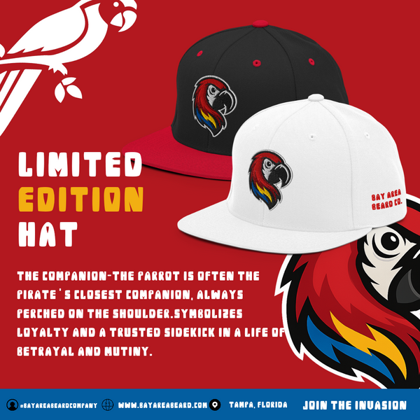 The Companion Snapback